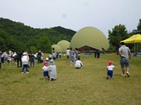 P1100879.jpg