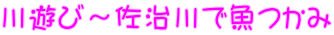 川遊び～佐治川で魚つかみ