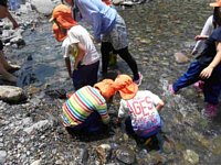 DSCN4453.jpg