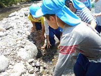 DSCN4472.jpg