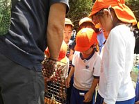 DSCN4475.jpg