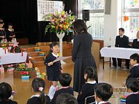 IMG_1131.jpg